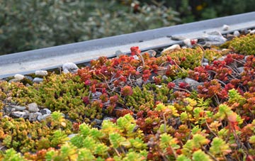 the cost of Great Green green roof installation