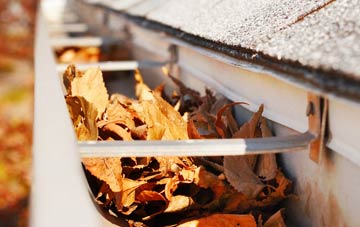 Great Green gutter cleaning companies