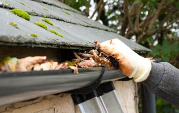gutter cleaning Great Green
