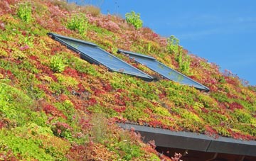 Great Green living roof systems