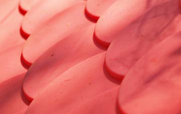 Great Green plastic roof costs