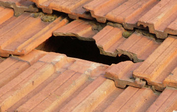 roof repair Great Green