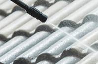 rated Great Green roof cleaning companies